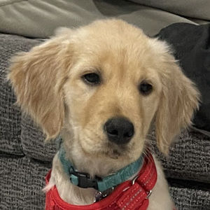 Meet your Posher, Xiomara